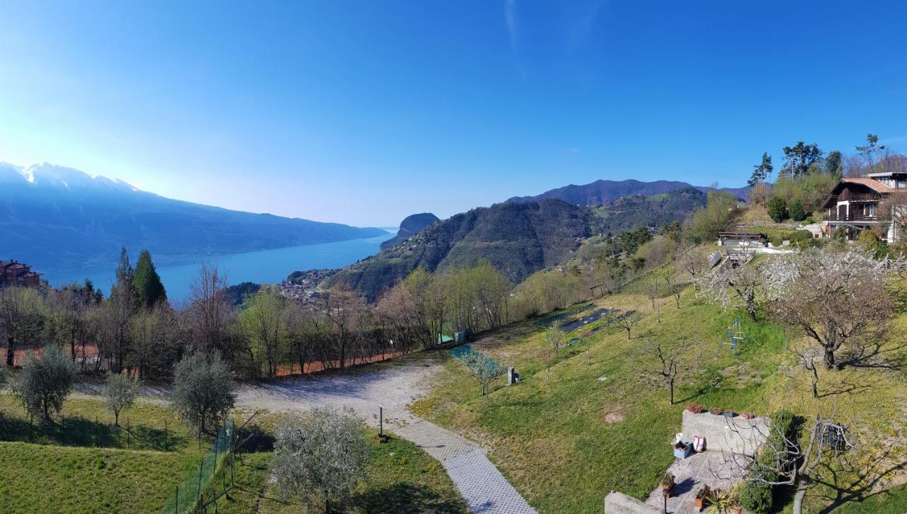 Teresa Campi Apartments Lake View By Gardadomusmea Tremosine 외부 사진